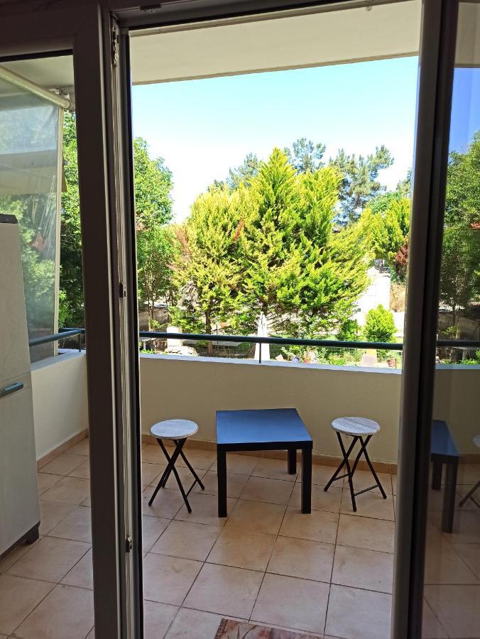 1 Bedroom Apartment In Nea Kallikrateia Bagian luar foto